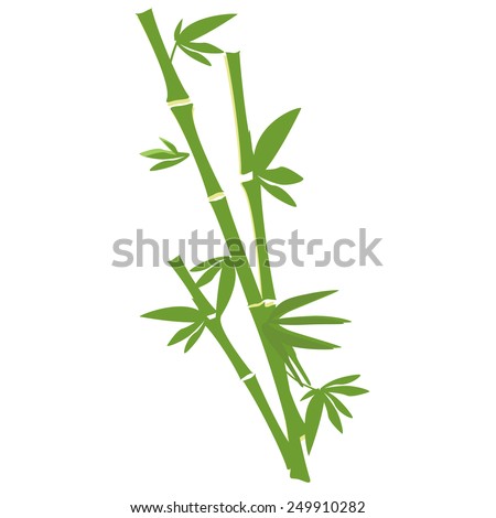 Green bamboo tree vector isolated on white, bamboo branch and leaves