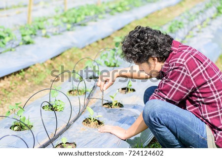 Asian young farmer using drip irrigation system in vegetable garden,organic farm