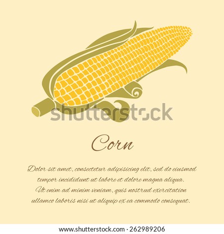 Corn vector greeting card isolated on the bright background