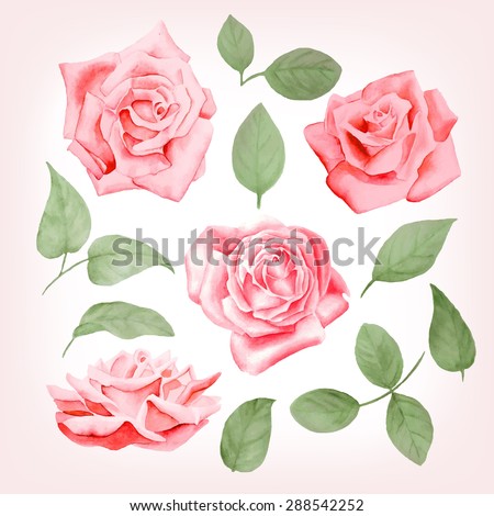 Pink Rose Stock Images, Royalty-Free Images & Vectors | Shutterstock