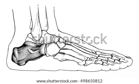 Kamasutra Man Woman Sex Xxx Stock Vector 275429516 - Shutterstock