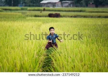 BAC GIANG,VIETNAM-JULY 10: Rural children playing in the rice fields. JULY 10,2014 in BAC GIANG, VIETNAM