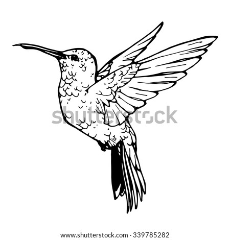 Flying Bird Zentangle Stile Hand Drawn Stock Vector 382638280 ...
