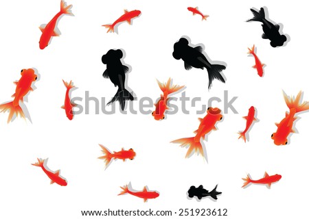 gold fish