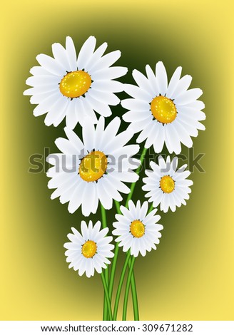 Beautiful White Daisies On White Background Stock Vector 450100675 ...