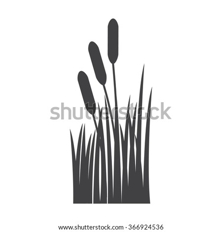 Reed Stock Photos, Royalty-Free Images & Vectors - Shutterstock