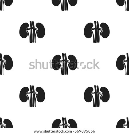 Human Kidneys Icon Black Style Isolated 库存矢量图 529194442 - Shutterstock
