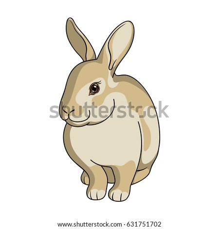 Rabbit Stock Vectors, Images & Vector Art | Shutterstock