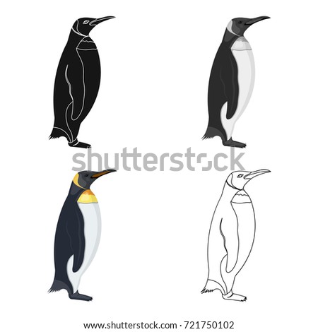 A study of the penguin a flightless bird