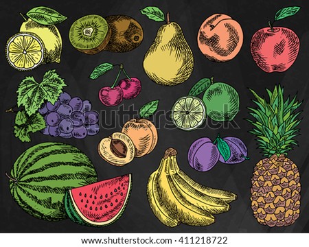 Fruits menu, summer garden, lemon, apple, grape, watermelon, pear, peach, plum, cherry, lime, kiwi, apricot, banana, pineapple