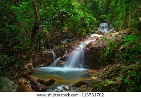 Evergreen Forest Stock Photos, Images, & Pictures | Shutterstock