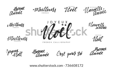 French text Joyeux noel, Meilleurs Voeux, Bonne annee. Merry Christmas and Happy New Year, black text calligraphy