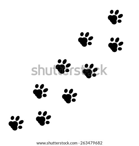 Paw Print Vector Stock Vector (Royalty Free) 263479682 - Shutterstock