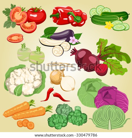 Drawing Vegetablebased Foods Vegetables Root Crops Stock Vector ...