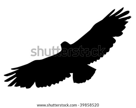 Vector Silhouette Bird Prey Osprey Flight Stock Vector 172516286 ...