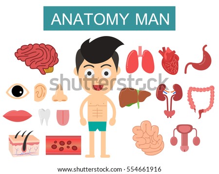 Cartoon Body Parts Stock Images, Royalty-Free Images & Vectors