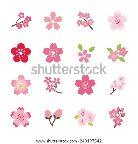 Cherry blossom icon set