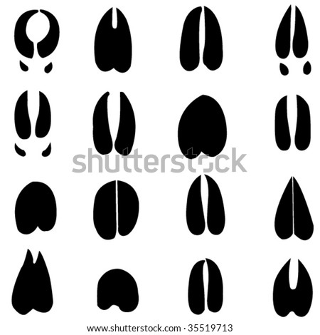 Cow Hoof Stock Images, Royalty-Free Images & Vectors | Shutterstock