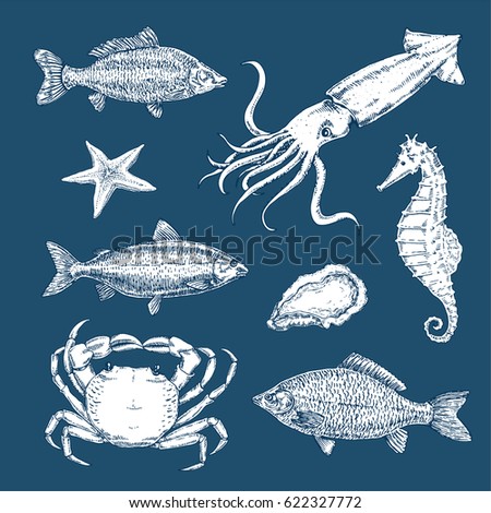 Cute Cartoon Sea Water Animals Whale Stock Vector 291142478 - Shutterstock