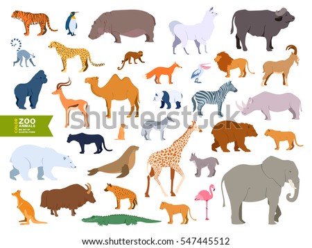 Extra big set zoo animals realistic flat cartoon design style. Lama, bull, buffalo, pelican, goat, antelope, gopher, polar bear, panther, fur seal, lemur, lynx, yak, hyena, flamingo, cheetah, walrus.