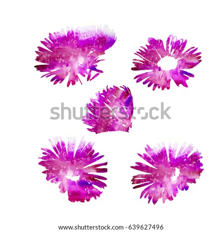 Set Flower watercolor objects. Vector