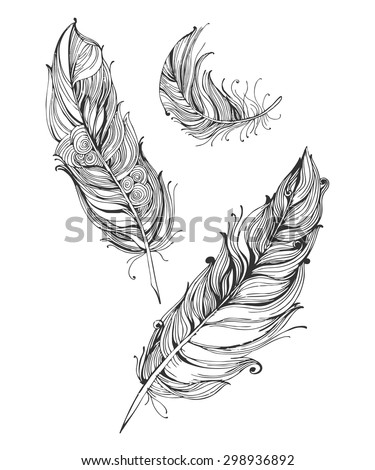 Hand Drawn Stylized Feathers Vector Collection Stock Vector 298936892 ...
