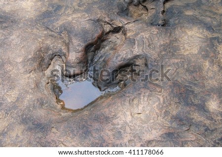 jurassic park footprint