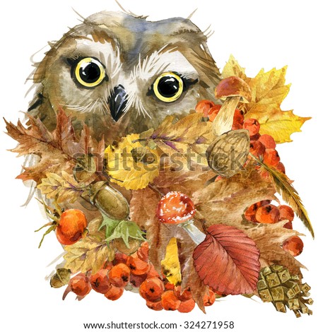 Watercolor Owl Forest Bird Autumn Nature Stock Illustration 324271958 ...