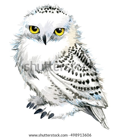 Cute Owl Watercolor Owl Owl Tee Stock Illustration ...