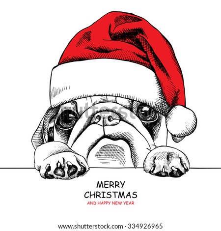 Download Christmas Card Portrait Dog Pug Santas Stock Vector ...