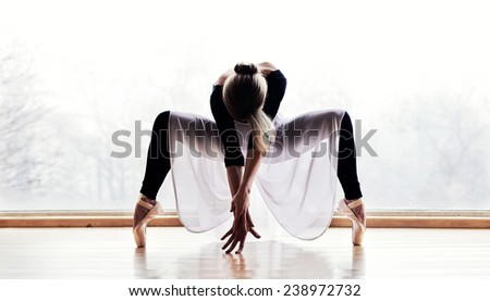 Ballet Dancer