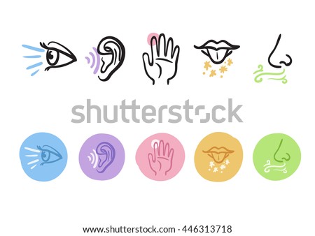 Hand Drawn Icons Representing Five Senses Stock Vector 446313718 ...