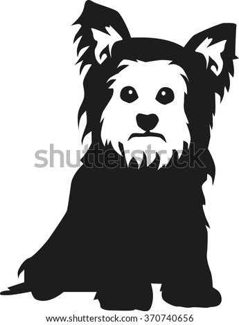 Yorkshire Terrier Silhouette Stock Images, Royalty-Free Images ...