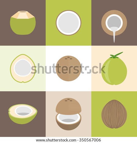 Vector coconut icons set, flat design