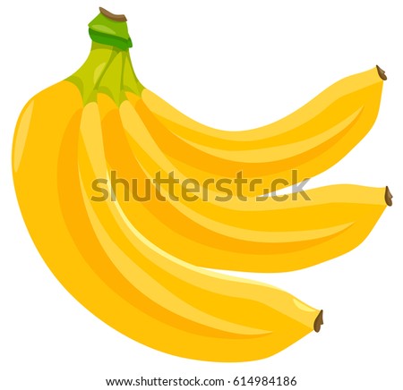 Cartoon Vector Illustration Banana Fruit Food Stock Vector 140102623 ...