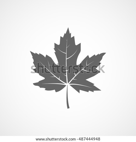 Maple Leaf Flat Icon On White Stock Vector 487444948 - Shutterstock