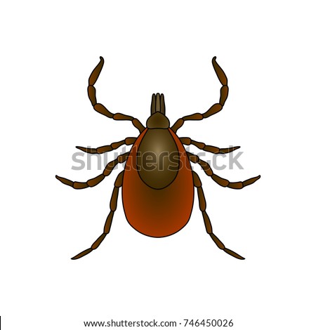 Insect Silhouettetick Parasite Sketch Tick Mite Stock Vector 348254534 ...