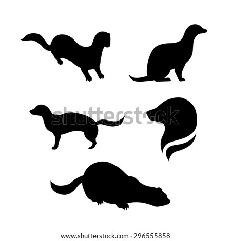 Mink Vector Silhouettes Stock Vector 296555858 - Shutterstock