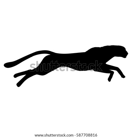 Cheetah Running Stock Images, Royalty-Free Images & Vectors | Shutterstock