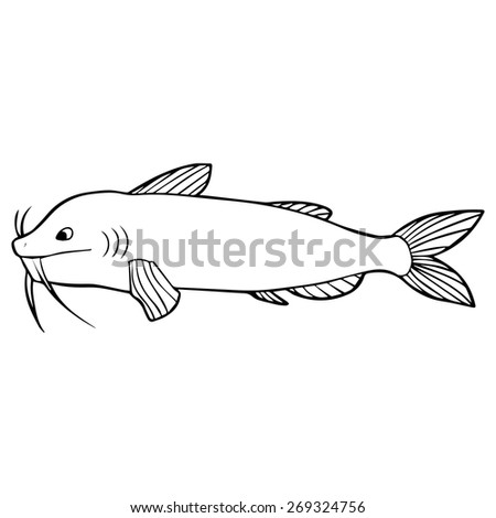 Stock Images similar to ID 79978174 - illustration of a catfish...