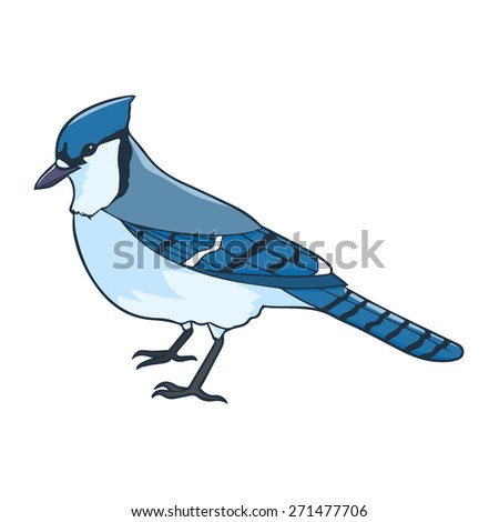 Blue Jay Cartoon Stock Images, Royalty-Free Images & Vectors | Shutterstock