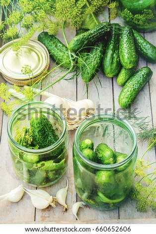 Preparation for pickling cucumbers. Preservation. Selective focus. 