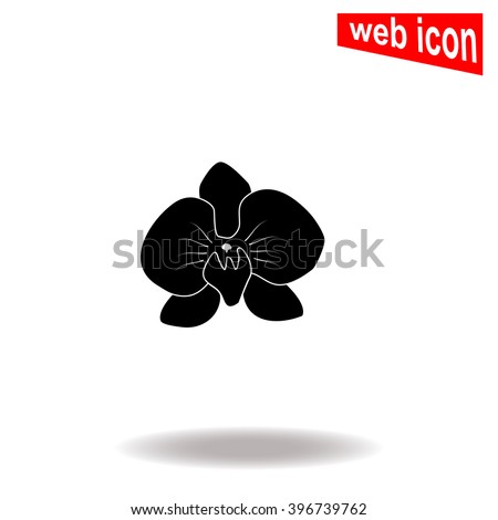 Orchid flowers icon.