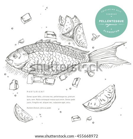 hand draw illustration seafood or underwater world fish sketches fish restaurant menu - Underwater World Restaurant hand draw illustration seafood or underwater world fish sketches fish restaurant menu - Underwater World Restaurant