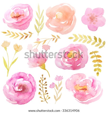 Hand Painted Floral Elements Set Watercolor Stock Illustration ...