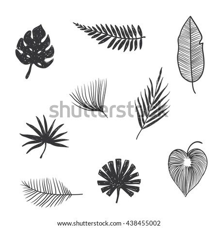 Hand Drawn Branches Leaves Tropical Plants Stock Vector 599880347