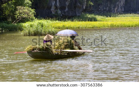 Rice field and river, NinhBinh, vietnam landscapes