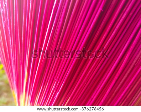 Incense sticks are drying outdoor under sunlight at Cao Thon, the Vietnamese traditional crafts village in Hung Yen province
