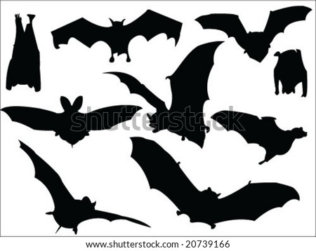 Bat silhouette Stock Photos, Images, & Pictures | Shutterstock