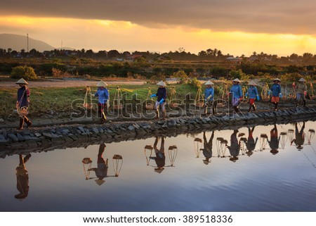 Ninh Thuan Province, Vietnam - February 28, 2016 :the women are working on salt field at dawn. Salt field Hon Khoi in Nha Trang, Viet Nam. Workers transporting salt from the fields Hon Khoi, Viet Nam.